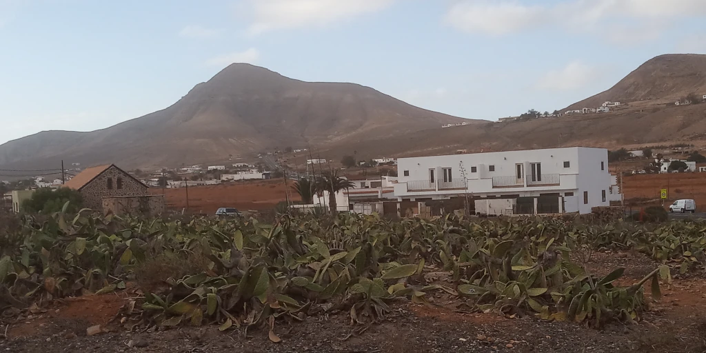 Plantas tuneras y paisaje de la ciudad, Vega de Tetir